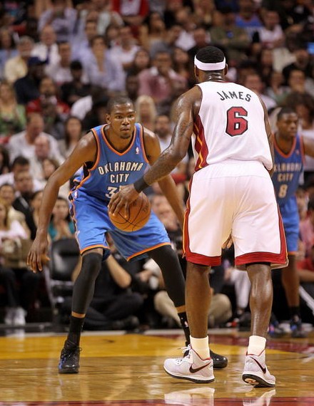 皇家社会的 皇家社会的